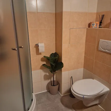 Apartamento S Terasou