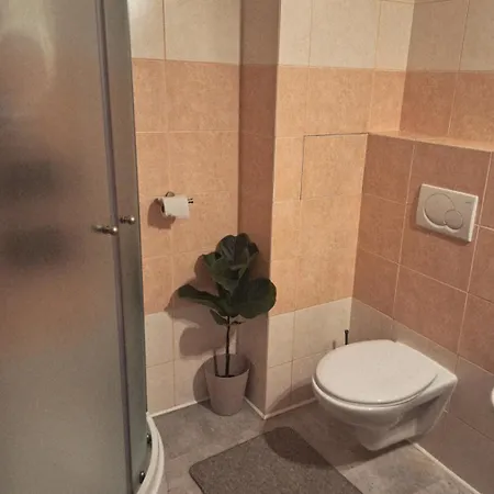 S Terasou Apartament